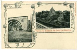 Altzella. Kloster. Ruine, Giebel und Tor