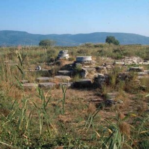 Samos. Heraion. Spiren und Innenkapitell vom Rhoikos-Tempel im Fundament des spätarchaischen Hera-Tempels