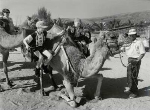 Kamelritt auf Fuerteventura