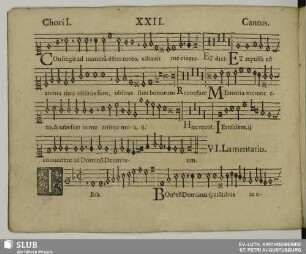 XXII. VI. Lamentatio: Teth bonus est Dominus