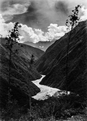 Bergtal : Blick in ein Bergtal mit Vegetation und Fluss