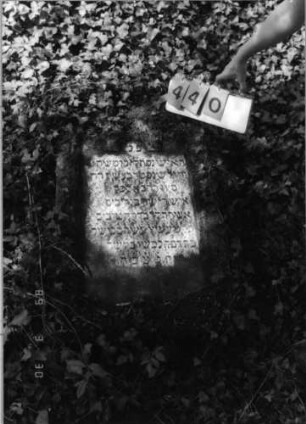 Grabstein 440 (Index: 99791997) Material: Sandstein Zustand: leicht verwittert, Stele liegend Maße HxBxT: 100x54x18 cm Beschreibung: Stele, Rundbogenabschluß, Schriftfeld eingetieft Symbolik: gestelztes Rundbogenfries: Grabstein 440