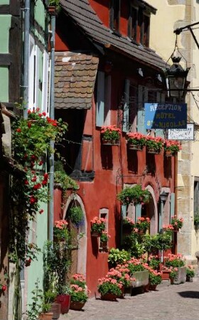 Frankreich. Alsace. Haut Rhin. Riquewihr