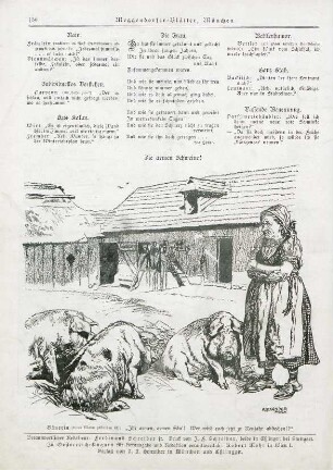 Die armen Schweine!