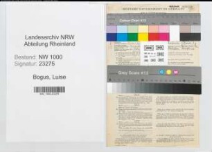 Entnazifizierung Luise Bogus, geb. 15.01.1889 (Buerogehilfin)