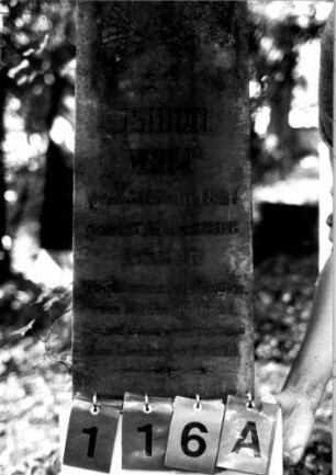 Grabstein 116 (Index: 100109407) Material: Sandstein oder Marmor (?), Sockel Kalkstein, eingelegte Bleibuchstaben Zustand: verwittert, Buchstaben teilweise herausgebrochen Maße HxBxT: 138x38x26 cm Beschreibung: Obelisk, Sockel rustica Symbolik: Kranz Steinmetz: Beerli, Mammern Besonderheit: Nummer auf Rückseite: Grabstein 116A