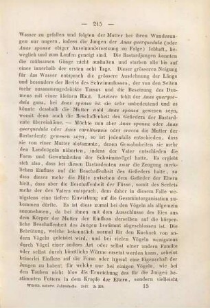 Orthoceratiten und Lituiten im mittleren schwarzen Jura