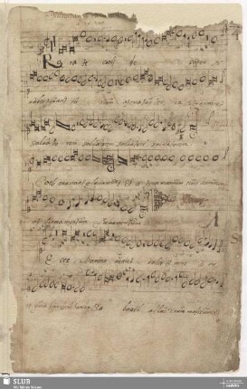 4. Introitus: Rorate caeli / Anonymus