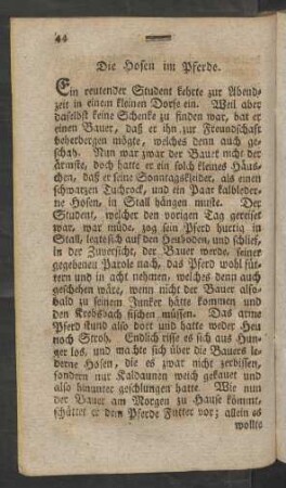 Die Hosen im Pferde