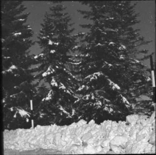 Winter im Schwarzwald