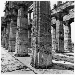 Säulenreihe, Paestum (Italien)