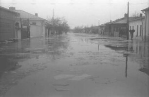 Giurgiu [Walachei]: Boulevard Tache Fonescu