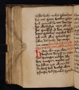 Johann von Neumarkt: Tagzeiten zum Leiden Christi
