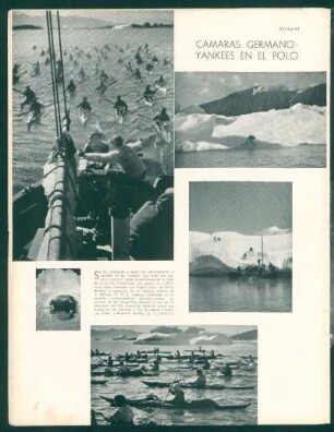 Cámaras germano-yankees en el polo