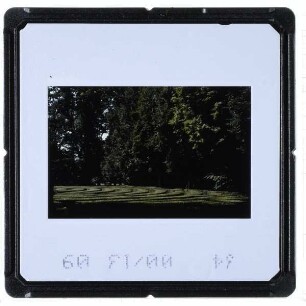 Stra, Villa Pisani : Parkanlage