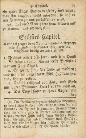 Sechstes Capitel.
