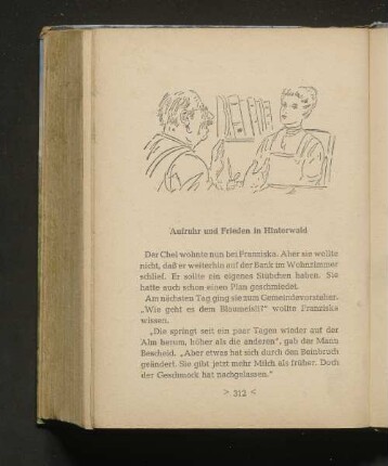 Aufruhr und Frieden in Hinterwald