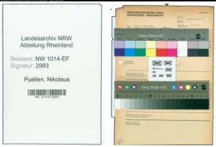 Entnazifizierung Nikolaus Puellen , geb. 00.00.0000 ()