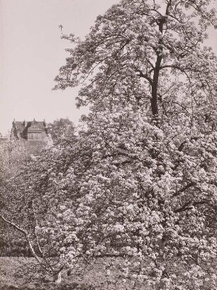 Radebeul, Blick zum Bennoschlösschen