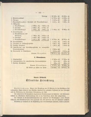 Vierter Abschnitt. Öffentliche Beleuchtung.