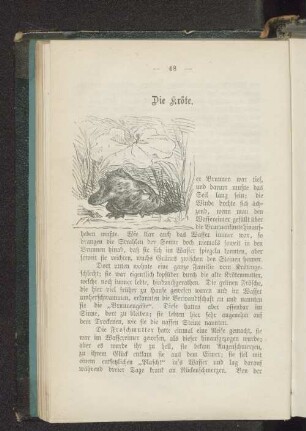 Die Kröte.