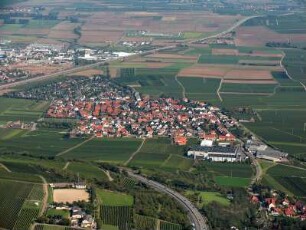 Sausenheim (Pfalz)