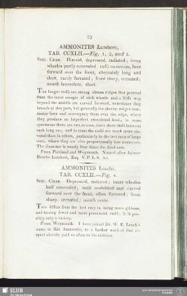 Ammonites Leachi. Tab. CCXLII. — Fig. 4