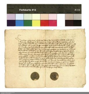 Lehenaufsage Georgs und Bertholds von Nesselröden an Johann [von Merlau], Abt von Fulda, bezüglich anderthalb Huben Land in Sonneborn