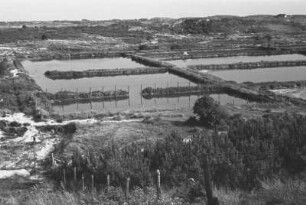 Landschaft bei Amsterdam : Wasserbecken in einer Dünenlandschaft bei Amsterdam
