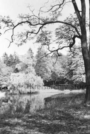 Kurpark: Salzteich: vorn rechts Baum: hinten Bank und Bäume