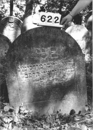 Grabstein 622