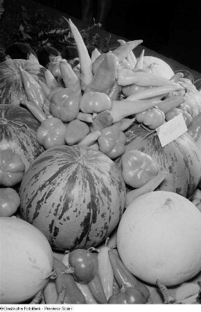 Obst und Gemüse der bulgarischen Sektion der Leipziger Herbstmesse 1954