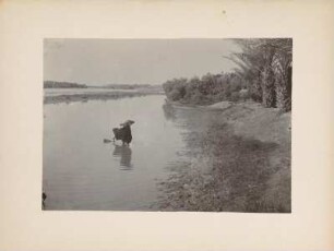 Wasser aus dem Euphrat schöpfen : Zwei Frauen schöpfen Wasser aus dem Euphrat in der Nähe der antiken Stadt Babylon.