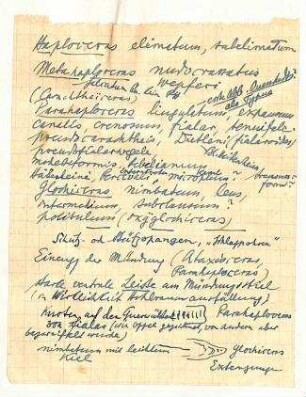 Handschriftliche Notizen zu Ammoniten