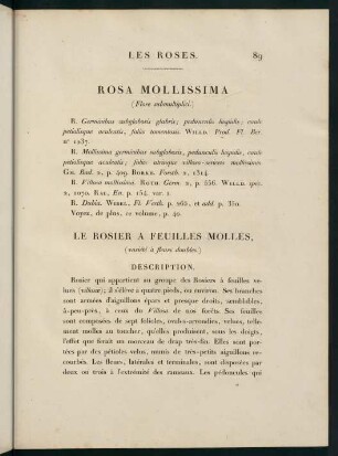89-90, Rosa Mollissima (Flore submultiplici.) Le Rosier a Feuilles Molles (variété à fleurs doubles.)