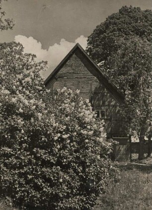 Carwitz. Mecklenburg. Die hinter Baumen versteckte uralte Dorfkirche am Anger, geweiht 1706.