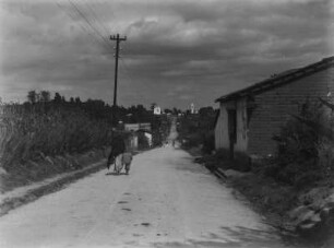 Dorfstraße : Eine sandige Straße, die durch ein Dorf in Mexiko führt. Links ein Maisfeld, im Hintergrund eine Kirche.