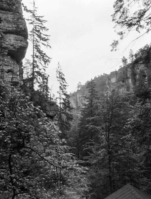Sächs. Schweiz