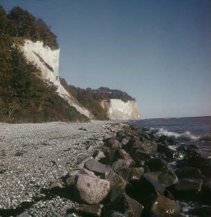 Rügen. Jasmund, Gakower Ufer bei Saßnitz, Kreideküste