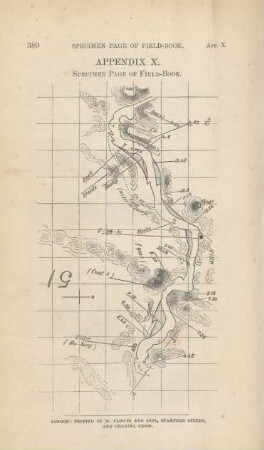 Specimen page of field-book