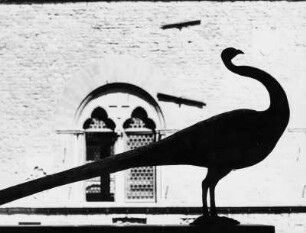 Bronzener Pfau von Giambologna in Florenz