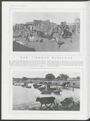 Por tierras riojanas