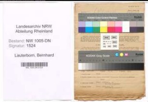 Entnazifizierung Bernhard Lauterborn , geb. 06.05.1902 (Kaufmann)