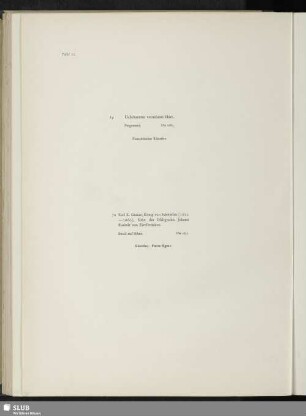 Unbekannter vornehmer Herr - Karl X. Gustav, König von Schweden