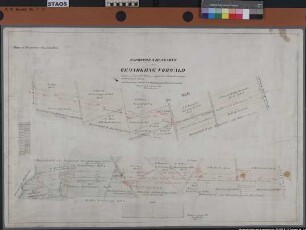 Expropriationskarte für den projektierten Coevorden-Piccardie-Kanal (mit Katastereintragungen). Raum: Gemarkungsgrenze Volzel bis Landesgrenze (100 m beiderseits des Kanals) Ausf.-Art: Farbige Zeichnung Herst.: Auf Grund spezieller Aufmessung ... kartiert und gezeichnet durch Werner Format: 66 x 99 cm Maßstab: 1 : 2000