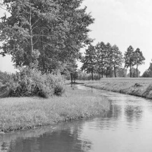 Landschaftsbild. Trotzkefließ in Leipe. : Wobraz krajiny. Groble w Lipjem.