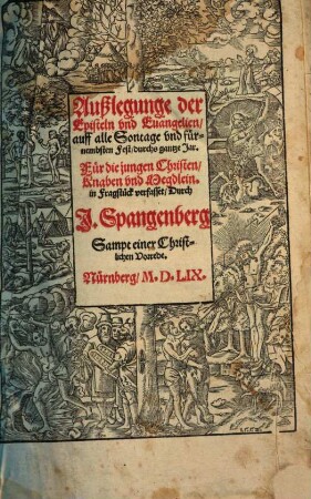 Außlegunge der Episteln vnd Euangelien auff alle Sontage vnd fürnembsten Fest durchs gantze Jar : Für die jungen Christen Knaben vnd Megdlein. in Fragstück verfasset