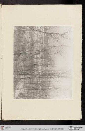 [Clarence Hudson White, VI. Landscape—Winter, photogravure from original negative]