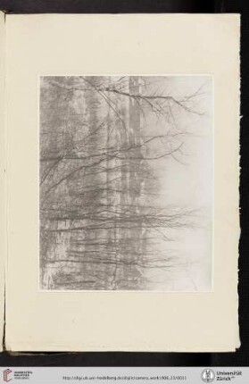 [Clarence Hudson White, VI. Landscape—Winter, photogravure from original negative]
