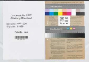 Entnazifizierung Leo Fabelje, geb. 03.01.1905 (Regierungsinspektor)